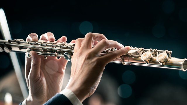 Flute lessons